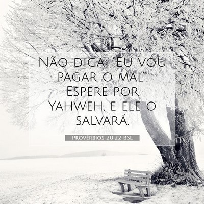 Picture 07 - Provérbios 20:22 BSL - Não diga: “Eu vou pagar o mal”. Espere por - Bible Verse Picture
