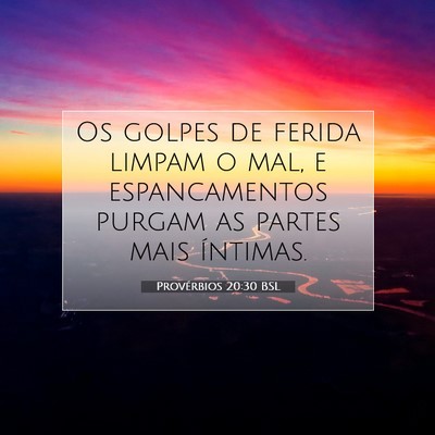Picture 07 - Provérbios 20:30 BSL - Os golpes de ferida limpam o mal, e espancamentos - Bible Verse Picture