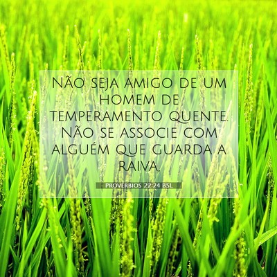 Picture 07 - Provérbios 22:24 BSL - Não seja amigo de um homem de temperamento - Bible Verse Picture
