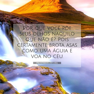 Picture 07 - Provérbios 23:5 BSL - Por que você põe seus olhos naquilo que não - Bible Verse Picture