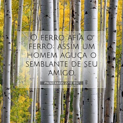 Picture 07 - Provérbios 27:17 BSL - O ferro afia o ferro; assim um homem aguça o - Bible Verse Picture