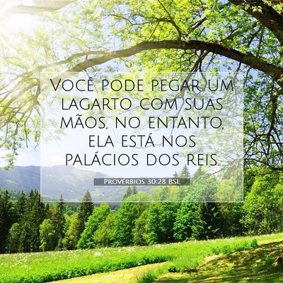 Picture 07 - Provérbios 30:28 BSL - Você pode pegar um lagarto com suas mãos, no - Bible Verse Picture