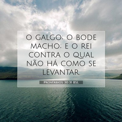 Picture 07 - Provérbios 30:31 BSL - o galgo; o bode macho; e o rei contra o qual não - Bible Verse Picture