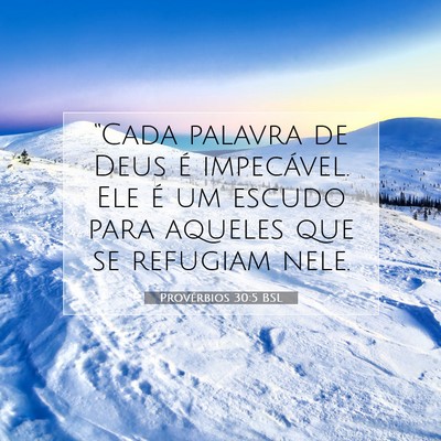Picture 07 - Provérbios 30:5 BSL - “Cada palavra de Deus é impecável. Ele é um - Bible Verse Picture