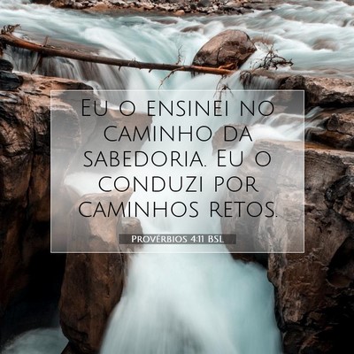 Picture 07 - Provérbios 4:11 BSL - Eu o ensinei no caminho da sabedoria. Eu o - Bible Verse Picture
