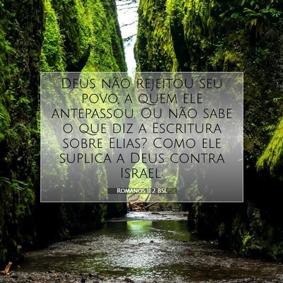 Picture 07 - Romanos 11:2 BSL - Deus não rejeitou seu povo, a quem ele - Bible Verse Picture