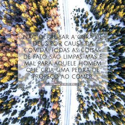 Picture 07 - Romanos 14:20 BSL - Não derrubar a obra de Deus por causa da comida. - Bible Verse Picture