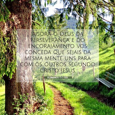 Picture 07 - Romanos 15:5 BSL - Agora o Deus da perseverança e do encorajamento - Bible Verse Picture