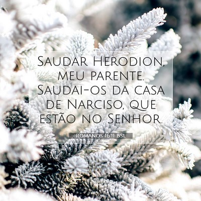 Picture 07 - Romanos 16:11 BSL - Saudar Herodion, meu parente. Saudai-os da casa - Bible Verse Picture