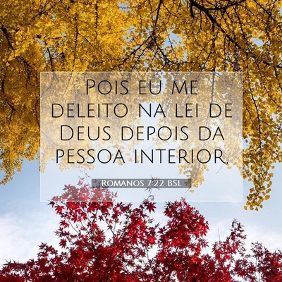 Picture 07 - Romanos 7:22 BSL - Pois eu me deleito na lei de Deus depois da - Bible Verse Picture