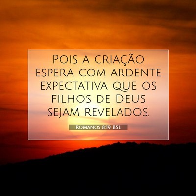 Picture 07 - Romanos 8:19 BSL - Pois a criação espera com ardente expectativa - Bible Verse Picture
