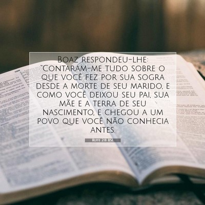 Picture 07 - Rute 2:11 BSL - Boaz respondeu-lhe: “Contaram-me tudo sobre o - Bible Verse Picture