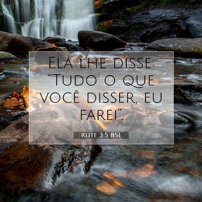Picture 07 - Rute 3:5 BSL - Ela lhe disse: “Tudo o que você disser, eu - Bible Verse Picture