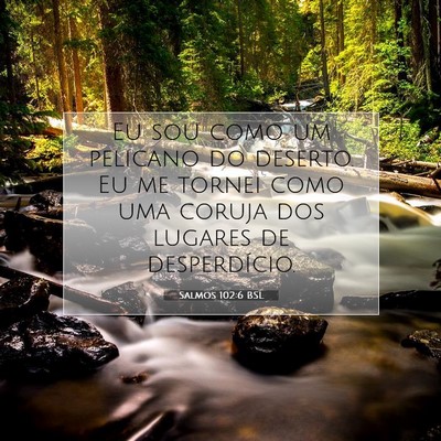 Picture 07 - Salmos 102:6 BSL - Eu sou como um pelicano do deserto. Eu me tornei - Bible Verse Picture