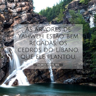 Picture 07 - Salmos 104:16 BSL - As árvores de Yahweh estão bem regadas, os - Bible Verse Picture