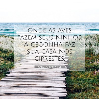 Picture 07 - Salmos 104:17 BSL - onde as aves fazem seus ninhos. A cegonha faz sua - Bible Verse Picture