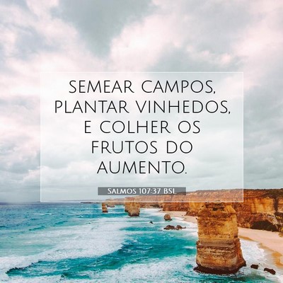 Picture 07 - Salmos 107:37 BSL - semear campos, plantar vinhedos, e colher os - Bible Verse Picture