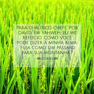 Picture 07 - Salmos 11:1 BSL - Para o músico chefe. Por David. Em Yahweh, eu me - Bible Verse Picture