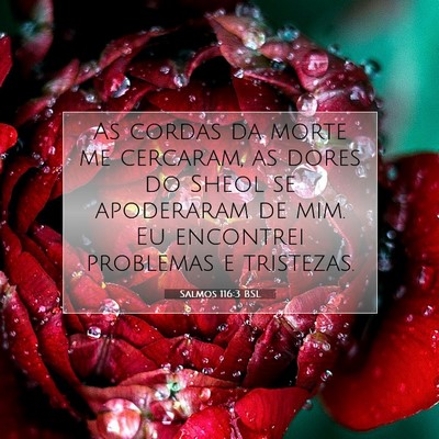 Picture 07 - Salmos 116:3 BSL - As cordas da morte me cercaram, as dores do Sheol - Bible Verse Picture