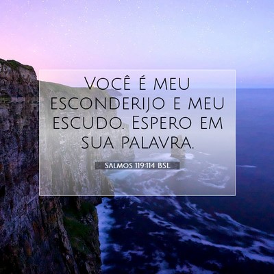 Picture 07 - Salmos 119:114 BSL - Você é meu esconderijo e meu escudo. Espero em - Bible Verse Picture