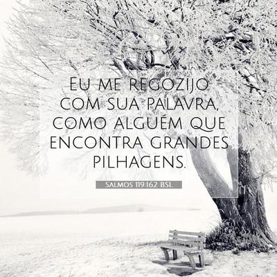 Picture 07 - Salmos 119:162 BSL - Eu me regozijo com sua palavra, como alguém que - Bible Verse Picture