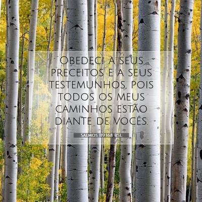 Picture 07 - Salmos 119:168 BSL - Obedeci a seus preceitos e a seus testemunhos, - Bible Verse Picture