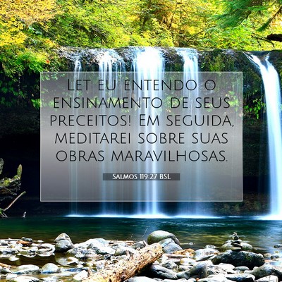 Picture 07 - Salmos 119:27 BSL - Let eu entendo o ensinamento de seus preceitos! - Bible Verse Picture