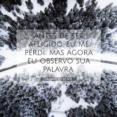 Picture 07 - Salmos 119:67 BSL - Antes de ser afligido, eu me perdi; mas agora eu - Bible Verse Picture