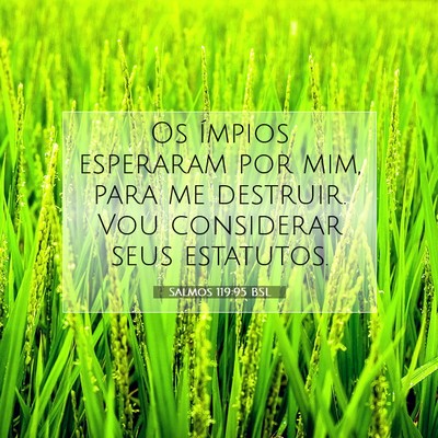 Picture 07 - Salmos 119:95 BSL - Os ímpios esperaram por mim, para me destruir. - Bible Verse Picture
