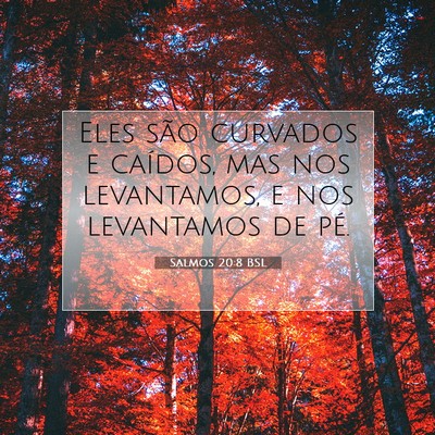 Picture 07 - Salmos 20:8 BSL - Eles são curvados e caídos, mas nos levantamos, - Bible Verse Picture