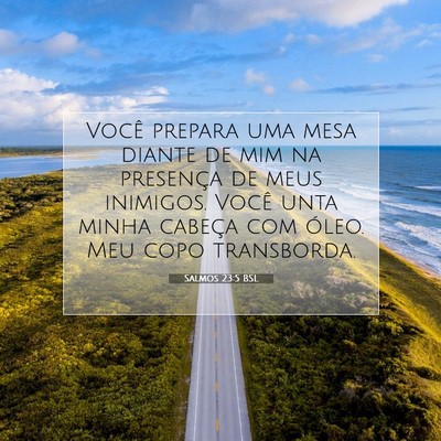 Picture 07 - Salmos 23:5 BSL - Você prepara uma mesa diante de mim na presença - Bible Verse Picture