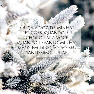 Picture 07 - Salmos 28:2 BSL - Ouça a voz de minhas petições, quando eu choro - Bible Verse Picture