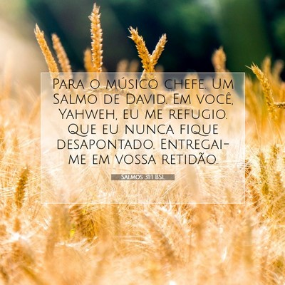 Picture 07 - Salmos 31:1 BSL - Para o músico chefe. Um Salmo de David. Em - Bible Verse Picture