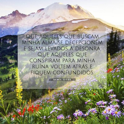 Picture 07 - Salmos 35:4 BSL - Que aqueles que buscam minha alma se decepcionem - Bible Verse Picture
