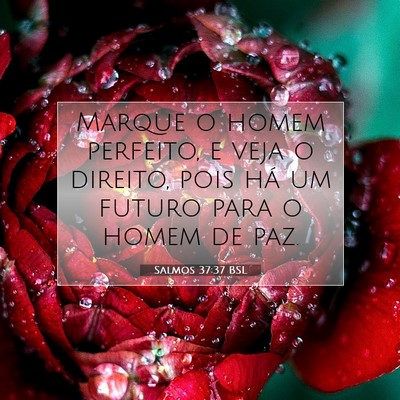 Picture 07 - Salmos 37:37 BSL - Marque o homem perfeito, e veja o direito, pois - Bible Verse Picture