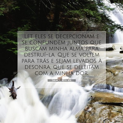 Picture 07 - Salmos 40:14 BSL - Let eles se decepcionam e se confundem juntos que - Bible Verse Picture