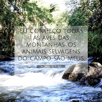 Picture 07 - Salmos 50:11 BSL - Eu conheço todas as aves das montanhas. Os - Bible Verse Picture