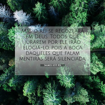 Picture 07 - Salmos 63:11 BSL - Mas o rei se regozijará em Deus. Todos que - Bible Verse Picture