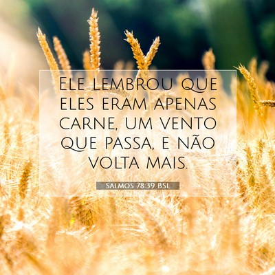 Picture 07 - Salmos 78:39 BSL - Ele lembrou que eles eram apenas carne, um vento - Bible Verse Picture