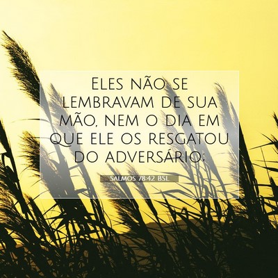 Picture 07 - Salmos 78:42 BSL - Eles não se lembravam de sua mão, nem o dia em - Bible Verse Picture