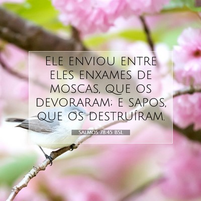 Picture 07 - Salmos 78:45 BSL - Ele enviou entre eles enxames de moscas, que os - Bible Verse Picture
