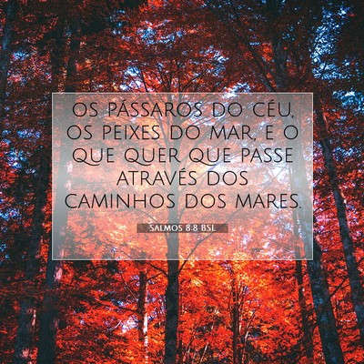 Picture 07 - Salmos 8:8 BSL - os pássaros do céu, os peixes do mar, e o que - Bible Verse Picture