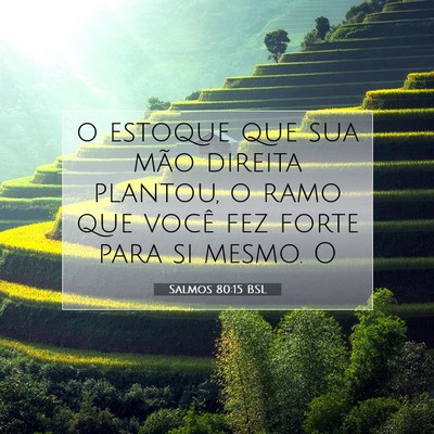 Picture 07 - Salmos 80:15 BSL - o estoque que sua mão direita plantou, o ramo - Bible Verse Picture