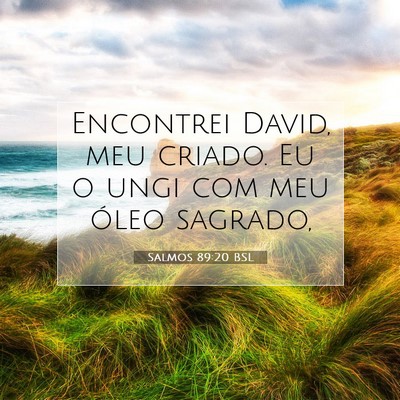 Picture 07 - Salmos 89:20 BSL - Encontrei David, meu criado. Eu o ungi com meu - Bible Verse Picture