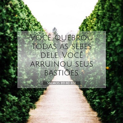 Picture 07 - Salmos 89:40 BSL - Você quebrou todas as sebes dele. Você arruinou - Bible Verse Picture