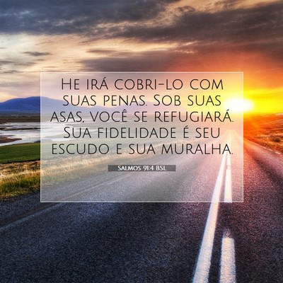 Picture 07 - Salmos 91:4 BSL - He irá cobri-lo com suas penas. Sob suas asas, - Bible Verse Picture
