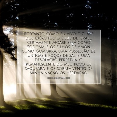 Picture 07 - Sofonias 2:9 BSL - Portanto, como eu vivo, diz Javé dos Exércitos, - Bible Verse Picture