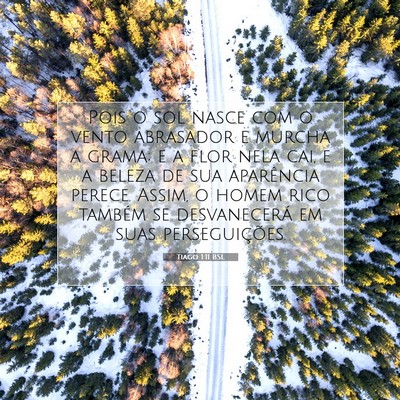 Picture 07 - Tiago 1:11 BSL - Pois o sol nasce com o vento abrasador e murcha a - Bible Verse Picture