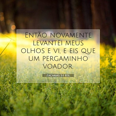 Picture 07 - Zacarias 5:1 BSL - Então novamente levantei meus olhos e vi, e eis - Bible Verse Picture