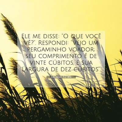 Picture 07 - Zacarias 5:2 BSL - Ele me disse: “O que você vê?”. Respondi: - Bible Verse Picture